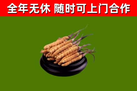 塔河烟酒回收冬虫夏草.jpg